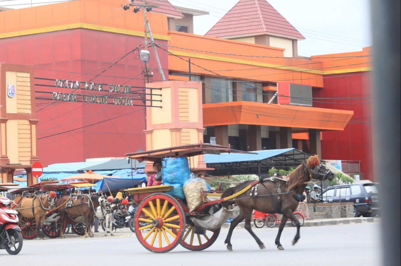 Liburan di Kota ini Naik “Air Asia” Cuma Rp 5000