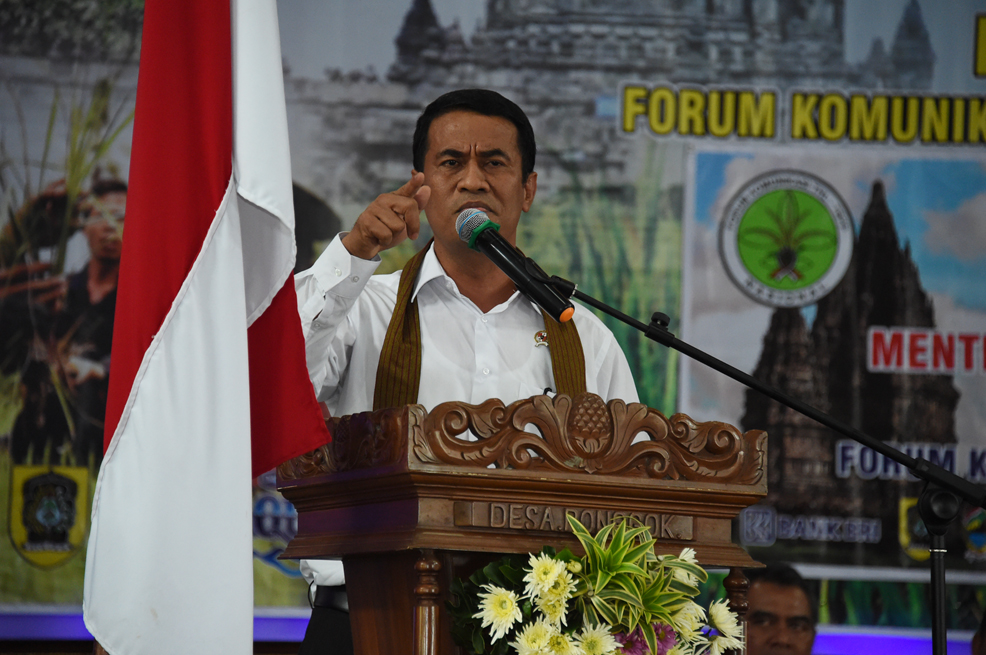 Mentan: Kerja Keras Penyuluh Pertanian Tingkatkan Produksi Padi Nasional