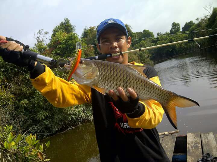 Berburu Predator Plat BM di Alam Pelalawan Riau