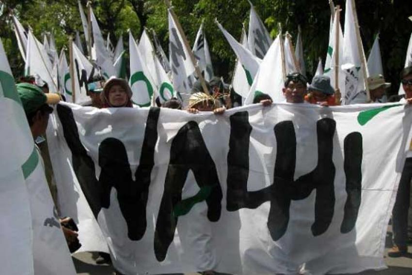 WALHI: Perkebunan Luhut B Panjaitan di Kaltim Gunakan Sistem Pecah Belah
