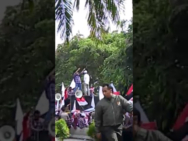 Aksi Lucu Pendukung Ahok, Mulai dari Dukun, Hijaber Rambut Pirang, dan Joget Ria di depan Lokasi Sidang