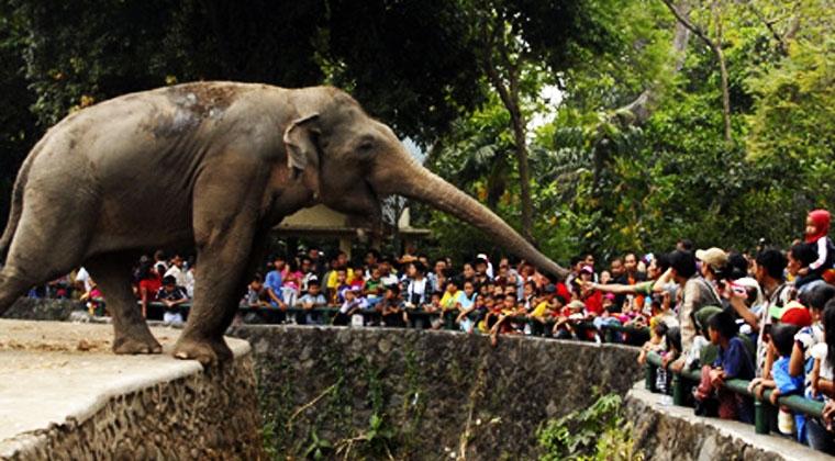 Libur Tahun Baru, 148.637 Wisatawan Lokal Padati KBN Ragunan