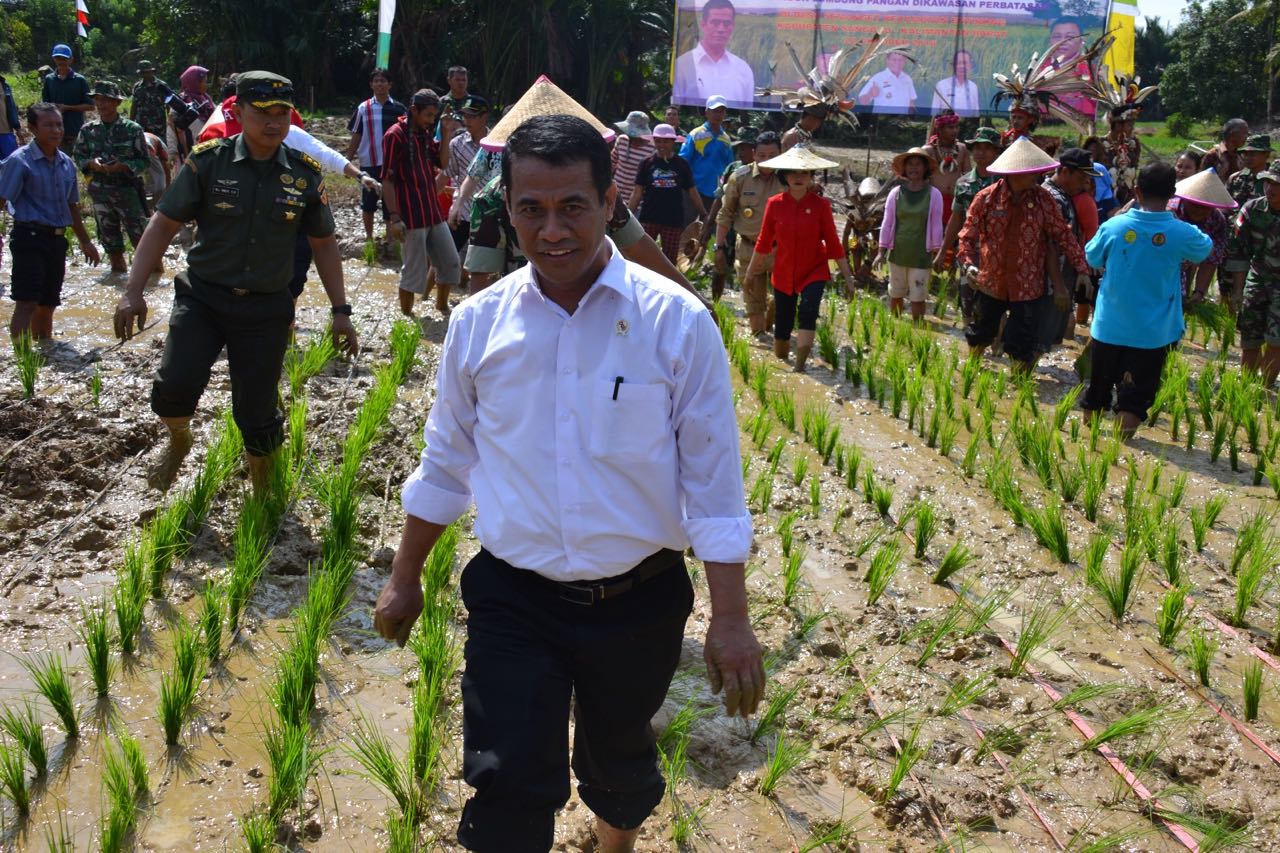 Kementan: Hanya Dengan Kerja cerdas, Indonesia jadi lumbung pangan dunia