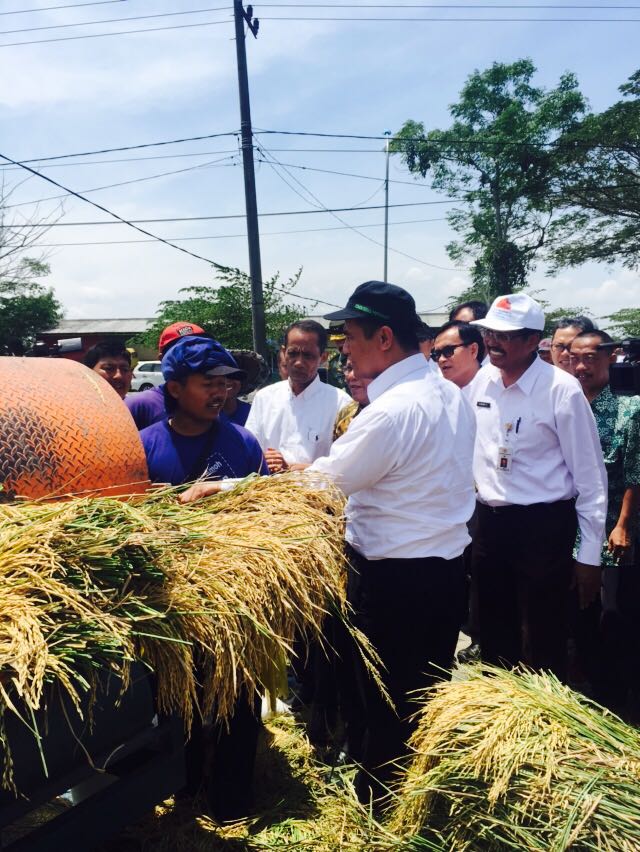 Di Jatim, Mentan Jamin Mampu Serap Gabah Petani Sesuai HPP 