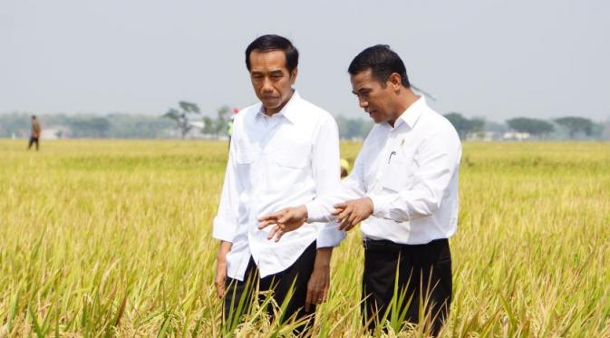 Pertanian Indonesia Masuk Peringkat 25 Besar Dunia