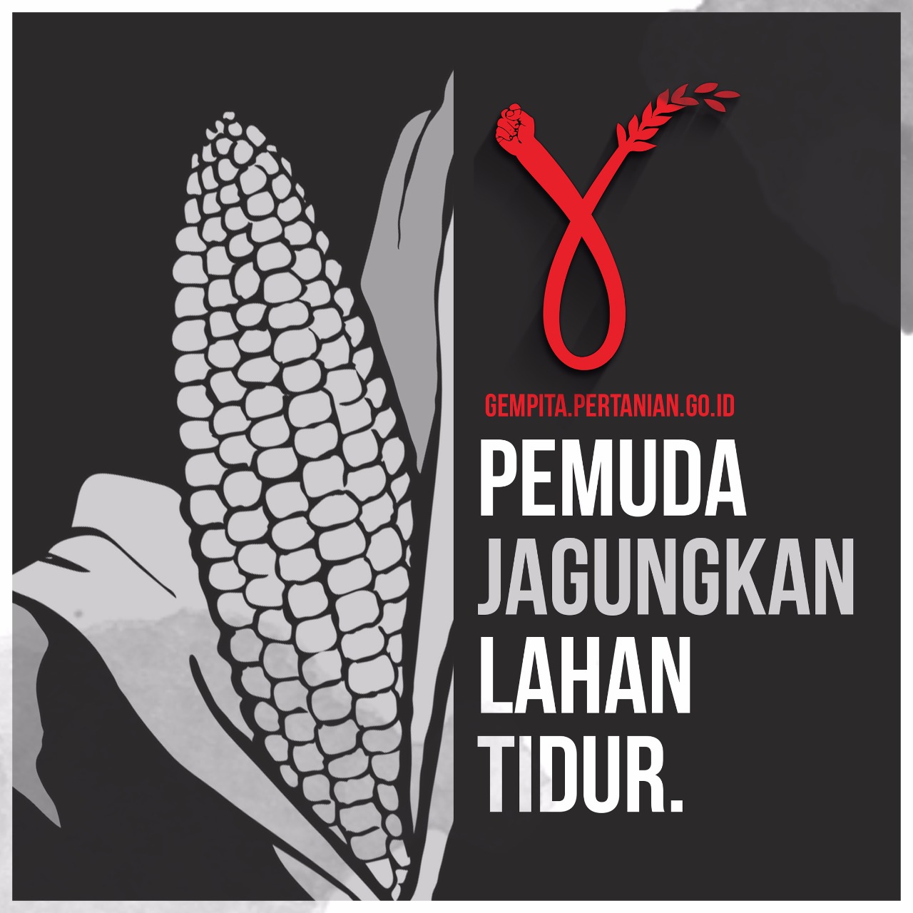 Generasi Muda Terpincut Program Gempita Kementan Untuk Percepatan Jagung