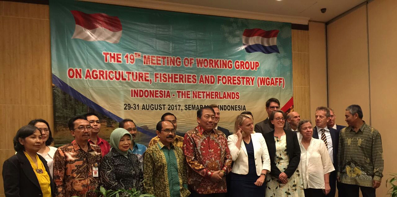 Belanda Tertarik Dengan Model Pengambangan Bawang Merah Indonesia