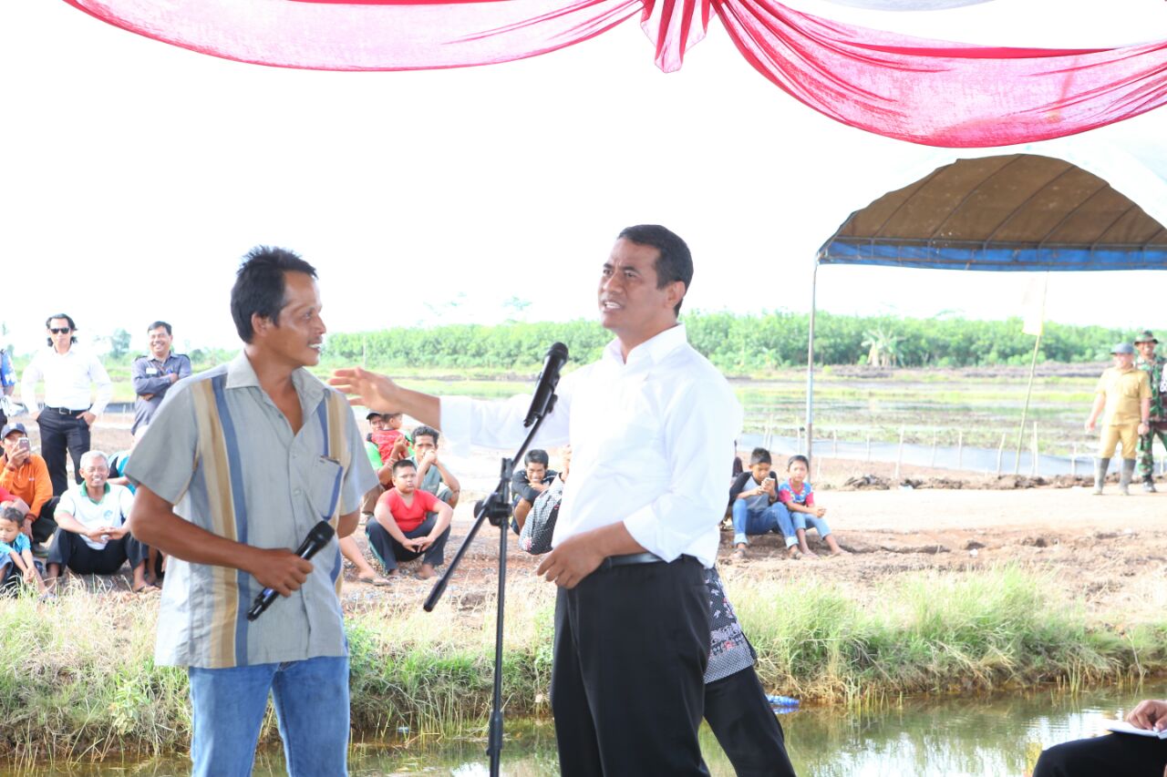 Kalteng Siap Jadi Sentra Padi Organik Dunia