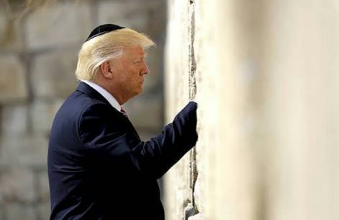 New Deal dari Kegilaan Trump