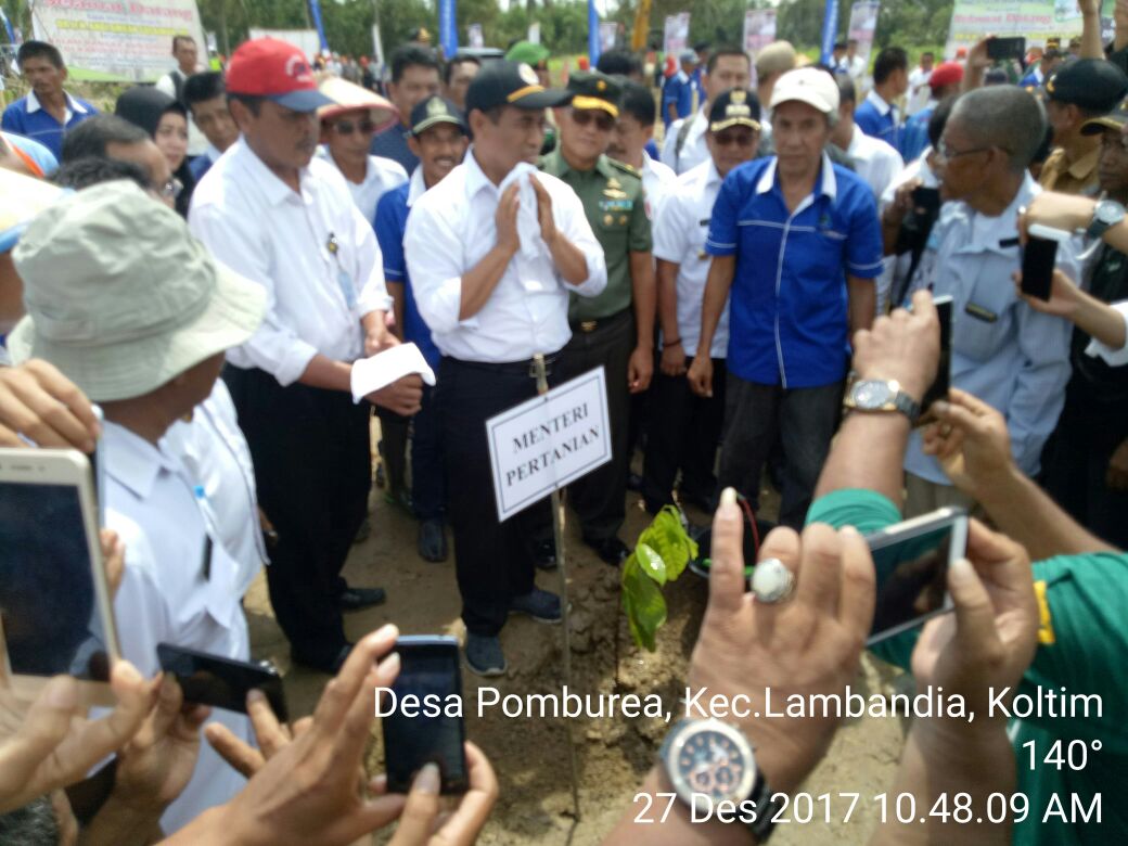 Mentan Optimis 2018 Indonesia Tidak Import beras dan Jagung