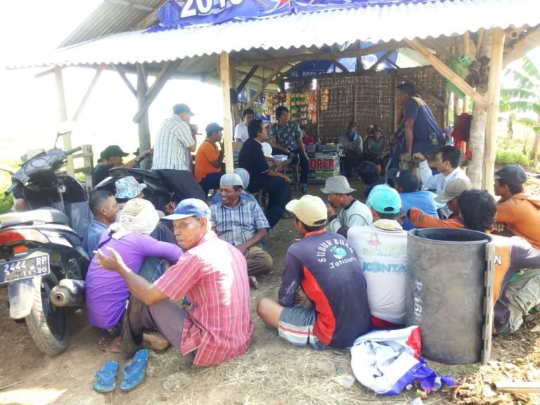 Panen 12 Ton Gabah, Ratusan Hektar Sawah Indramayu Ikut Aplikasi Padi