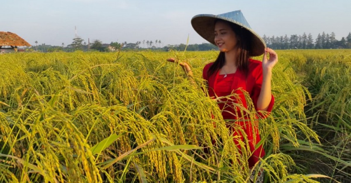 Sandiaga Cek Stok Beras di Cipinang