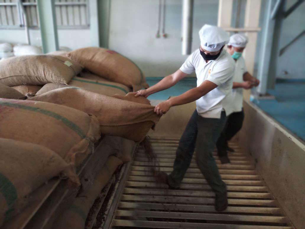 Kementan Kawal 300 Ton Cocoa Butter Kendari  ke Belanda