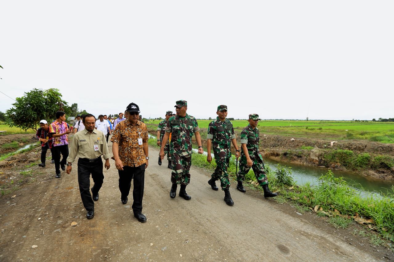 Ribuan Hektar Padi Rawa Siap Panen Pada Hari Pangan Sedunia 2018