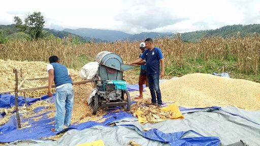 Kementan : Semua Musim itu Berkah untuk Petani