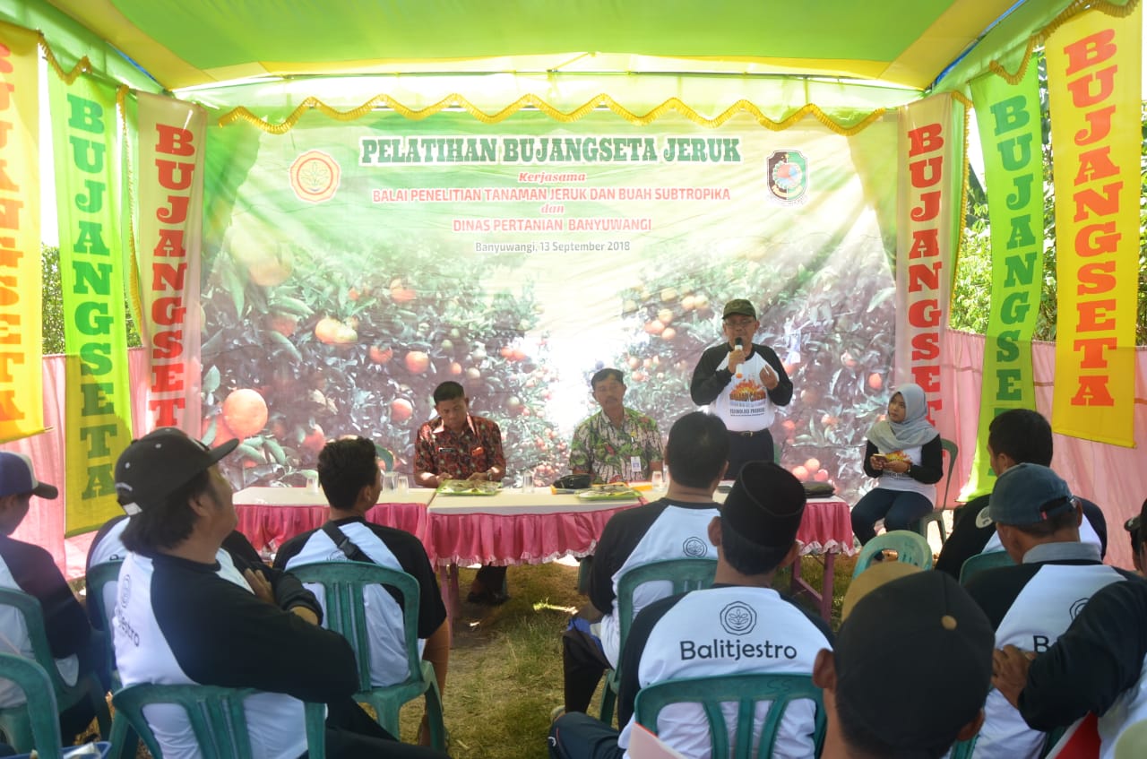 Petani Banyuwangi Siap Adopsi Teknologi Bujangseta