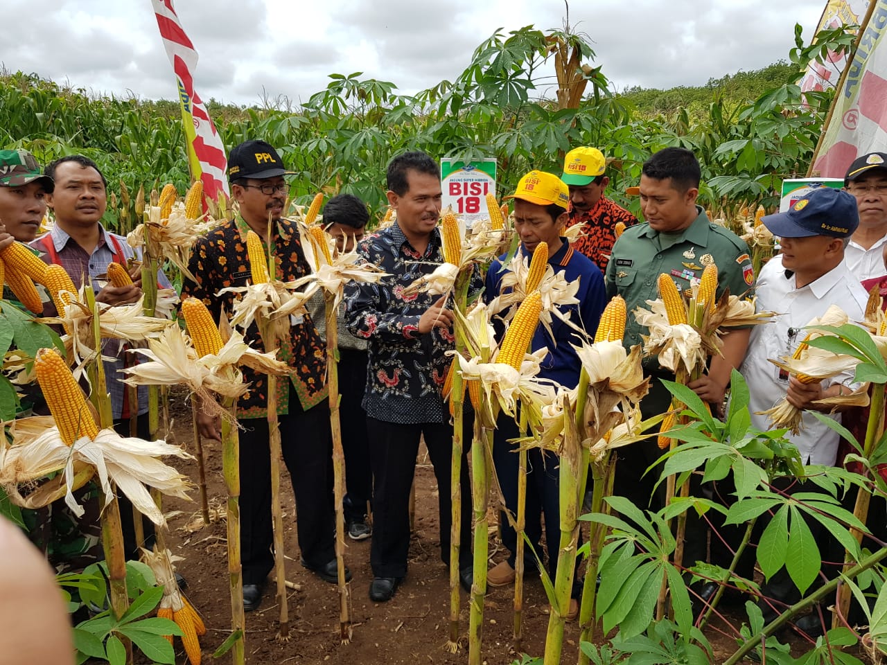 Wonogiri Panen Raya Jagung 37.026 Hektar di Lahan Berbatu