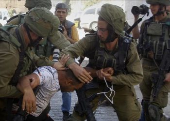 Israel Tangkap 11 Warga Palestina di Tepi Barat