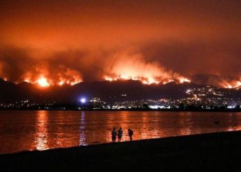 Kebakaran Provinsi Gangwon, Korea Langsung Siaga 3 atau Tetapkan Bencana Nasional