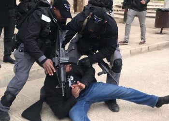 Tentara Israel Tangkap 19 Warga  Palestina di Tepi Barat