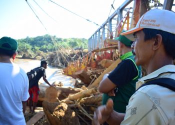 Sambil Cari Korban Banjir, Warga Bengkulu Ambil Pohon Sawit Untuk Olahan Kayu