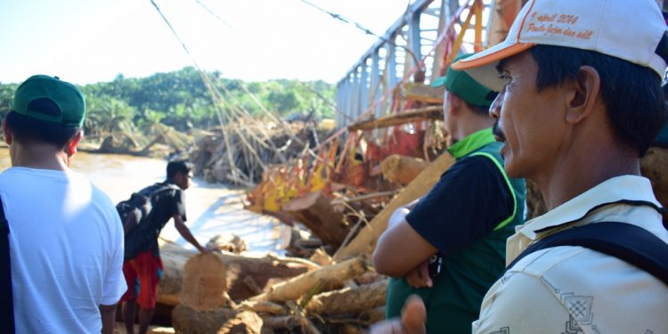 Sambil Cari Korban Banjir, Warga Bengkulu Ambil Pohon Sawit Untuk Olahan Kayu