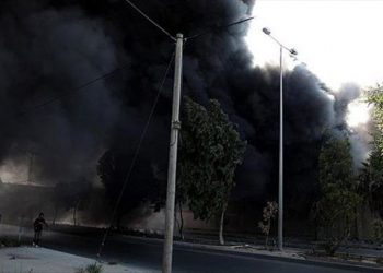 Pemukim Yahudi Bakar Lahan Pertanian Palestina di Tepi Barat