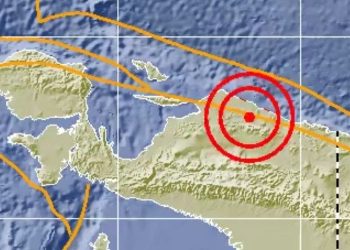 Gempa 6,1 Skala Richter Guncang Mamberamo