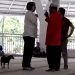 Wanita Pembawa Anjing ke Masjid Jadi Tersangka Penistaan Agama