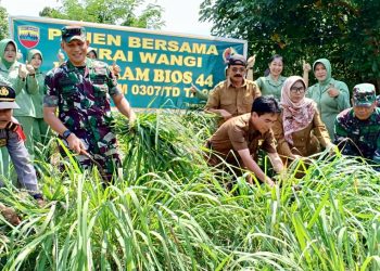 Panen Serai Wangi, Dandim 0307 Tanah Datar Perkenalkan Bios 44