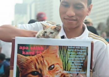 KPK Gelar Aksi Tolak Penyiksaan Kucing