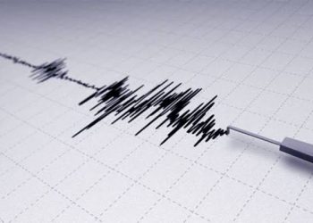 Pasca Gempa 7,2 SR Labuha, Gempa Susulan Terjadi di Maluku-Papua