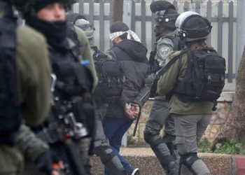 Israel Tahan 11 Warga Palestina dalam Penggerebekan Semalam