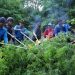 BNN Kembali Temukan 2 Hektar Ladang Ganja dI Pegunungan Aceh Selatan