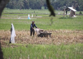 Pemerintah Cadangkan 938 Ribu Hektar Tanah HPK Untuk Rakyat