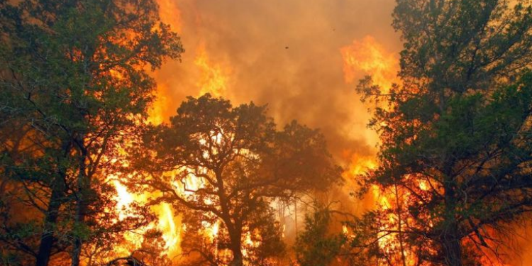 Hutan Gunung Ciremai Kebakaran, 5 Pendaki Belum Turun