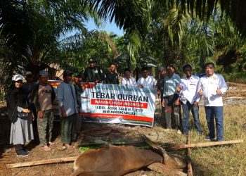 Wahana Muda Indonesia Bengkulu Pantau Proses Pemotongan Hewan Qurban Di Teluk Sepang
