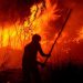 Dewan Anggap Pemerintah Gagal Lindungi Hutan