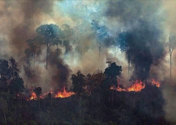 Presiden Brazil Tolak Bantuan G7 untuk Atasi Kebakaran Amazon