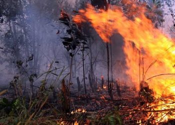 BMKG Deteksi 2.510 Titik Panas