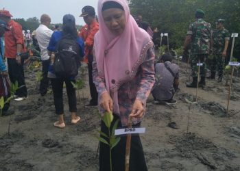 Musim Hujan Datang, BPBD Kota Bengkulu Siapkan Relawan Mitigasi Tingkat Kelurahan