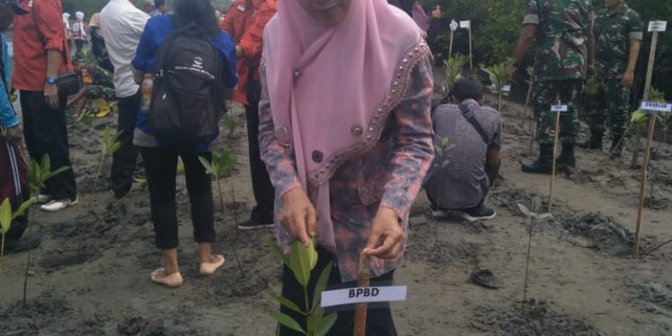 Musim Hujan Datang, BPBD Kota Bengkulu Siapkan Relawan Mitigasi Tingkat Kelurahan