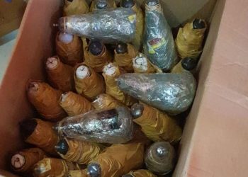 Soal Molotov, Oknum Dosen IPB Ditahan