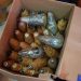 Soal Molotov, Oknum Dosen IPB Ditahan