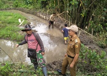 Manfaatkan Lahan Tidur, Karang Taruna Batang Sarasah Nagari Kumango Bangun Kolam Ikan