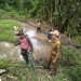 Manfaatkan Lahan Tidur, Karang Taruna Batang Sarasah Nagari Kumango Bangun Kolam Ikan