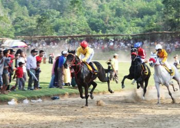 HUT TNI Ke-74, Di Tanah Datar Dimeriahkan Wirabraja Pacu Kuda Open Race Dan Tradisional