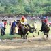 HUT TNI Ke-74, Di Tanah Datar Dimeriahkan Wirabraja Pacu Kuda Open Race Dan Tradisional