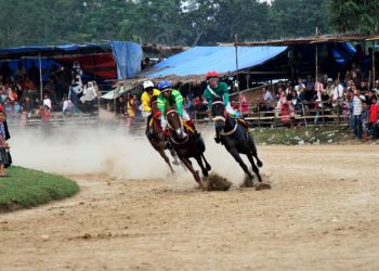 Pacu Kuda Wirabraja Open Race Dan Tradisional Tutup, Wabup Zuldafri Darma Apresiasi