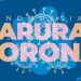 Update! 58 Pasien Positif Corona Meninggal Ada di 11 Provinsi, Ini Datanya